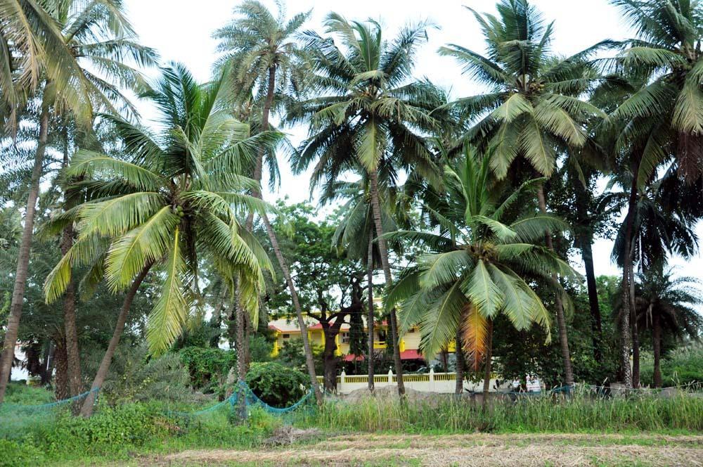 Maheshwari * Diu