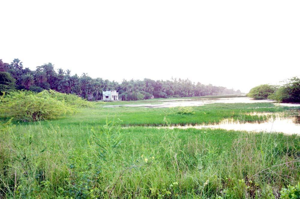 Hotel Maheshwari