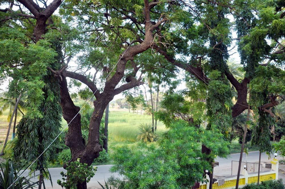Maheshwari